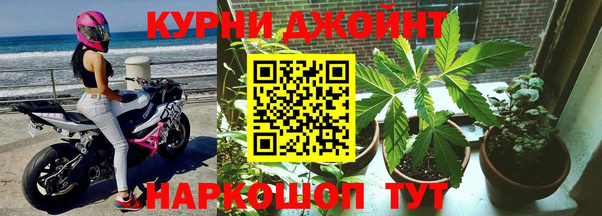Каннабис SATIVA & INDICA  Вход с VPN  Ахтубинск  Бошки Шишки тримм 
